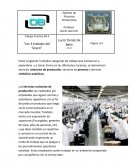 Los 3 trabajos del futuro para que sirven