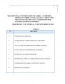 SEGURO SOCIAL UNIVERSITARIO DE TARIJA “AUDITORÍA OPERATIVA SOBRE LA EFICACIA EN LA EJECUCIÓN PRESUPUESTARIA DEL SSUT” MEMORANDUM DE PLANIFICACION DE AUDITORÍA