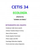 ECOLOGÍA PROYECTO “SEMBRA UN ÁRBOL”