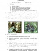CUALES SON LAS TACTICAS DE CAMUFLAJE