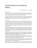 Los grandes Contaminantes en las costas de México