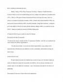 Analosis libro Canto de las sirenas