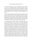 Resumen descriptivo del libro Diario de un Skin
