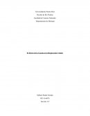 Como hacer un Informe Color de los Compuestos