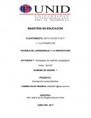 LAS CARACTERÍSTICAS DEL USO DE ANALOGÍAS COMO ESTRATEGIA DE ENSEÑANZA