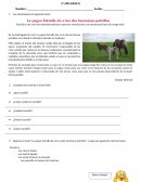 FICHA DE TRABAJO: LA NOTICIA