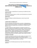 RELACION DE LOS PRINCIPIOS DE IDENTIDAD, IDENTIFICACION, IDENTIFICAR CON LOS LABORATORIOS DE LA CRIMINALISTICA