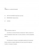 Abordaje a las discapacidades