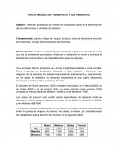 EL FRUTO: MODELO DE TRANSPORTE Y SUS VARIANTES