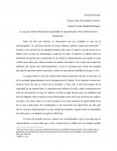 Ensayo sobre Diversidad de Género