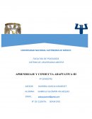 UN NUEVO TIPO DE APRENDIZAJE Y CONDUCTA ADAPTATIVA III