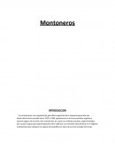 Montoneros y su nueva introduccion