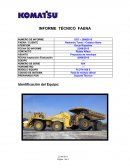 INFORME TÉCNICO FAENA