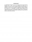 La excesiva Contaminacion del agua y contaminacion del aire