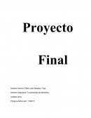 CUAL ES EL GRAN PROYECTO FINAL