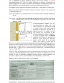 Vamos a ver Asma, EPOC y tratamiento sintomático de la tos