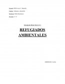¿El marco jurídico internacional contempla la figura del refugiado ambiental? Explicar