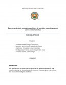 Determinación de la actividad específica y de la cinética enzimática de una enzima oxidorreductasa