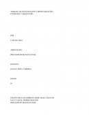 UN EJEMPLO DE TRABAJO DE INVESTIGACIÓN Y PROFUNDIZACIÓN