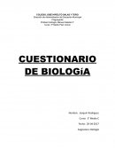 La homeostasis es un conjunto de fenómenos de autorregulación conducentes al mantenimiento de una relativa constancia en la composición y las propiedades del medio interno de un organismo.