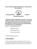 El nuevo Año de la Diversificación Productiva y del Fortalecimiento de la Educación