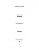 GESTION DEPORTIVA QUE ES UN PROYECTO