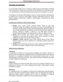 Principios de la Nutricion