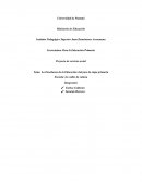La Enseñanza de la Educación vial para la etapa primaria