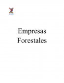 Contabilidad Empresas Forestales