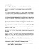 Actividad Caso Bodytech