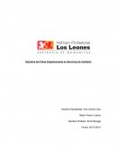 Estudios del Clima Organizacional en Servicios de Auditoria