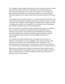 Ciudadano siglo XXI ENSAYO