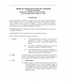 Como es un Contrato Consultoria