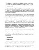 ANÁLISIS DE LAS POLÍTICAS AMBIENTALES DE LA ILUSTRE MUNICIPALIDAD DEL CANTÓN CAÑAR, PROVINCIA CAÑAR