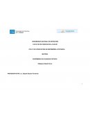 Ensayo de los Cuidados criticos