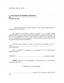 UN EJEMPLO DE SOLICITUD COPIAS PENAL