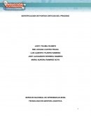 IDENTIFICACION DE PUNTOS CRITICOS DEL PROCESO