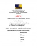 ANTEPROYECTO TRABAJO DE INFORME DE PRACTICA