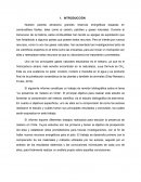 En que constuvo la Presencia de metano en Chile