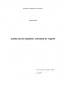 ¿Cómo obtener equilibrio nutricional en vegano?
