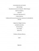Influencia de la concentración de los reactivos en la velocidad de reacción