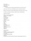 El cuerpo humano. Proyecto áulico
