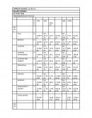 El gran Balance general en moneda extranjera