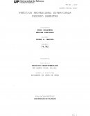 PRÁCTICA PROFESIONAL SUPERVISADA