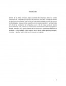 Estudiar y analizar detalladamente los artículos asignados de la Constitución de la Republica y Ley marco del sistema de protección Social e interpretar cada uno de los artículos