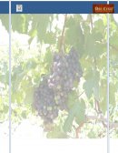 Fusion y adquision de empresas