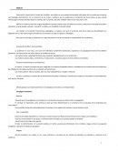 La audiencia es una masa, una suma de individuos socialmente atomizados, expuestos a la propaganda masiva de los líderes poderosos. Su instrumento más eficaz fueron los medios de masas.