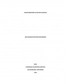 Cual es la Caracterización de una red logística