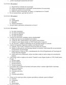 EXAMEN DE ESPAÑOL CORRESPONDIENTE AL 4TO. BIMESTRE DEL CICLO ESCOLAR 2016 – 2017