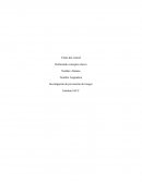 Definiendo conceptos claves - Investigación de prevención de riesgos
